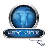 Metro Institute logo
